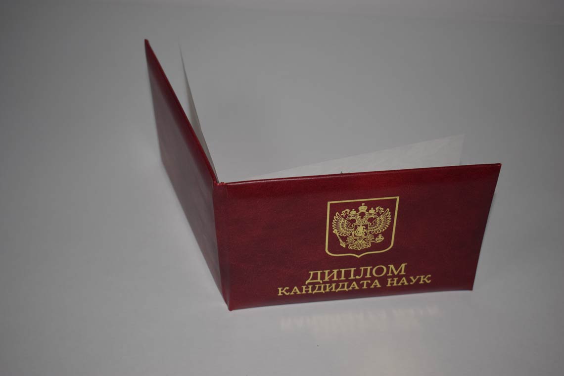Диплом Кандидата Наук 2001-2012 в Брянске корка