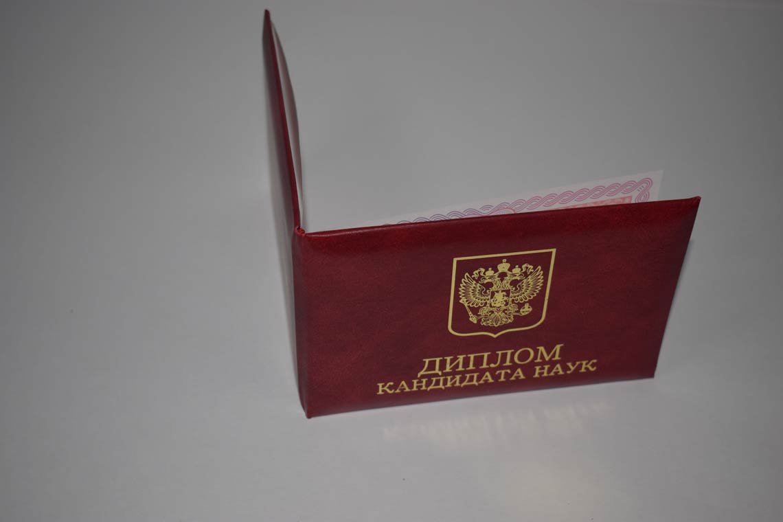 Диплом Кандидата Наук 2013-2016 в Брянске корка