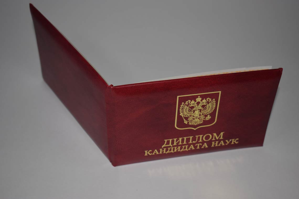Диплом Кандидата Наук 2017-2025 в Брянске корка